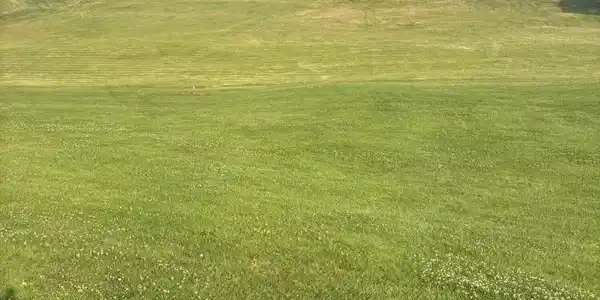 Tbd Acorn Lane
