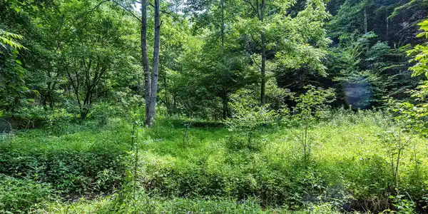 Lot 9 Lone Star Road