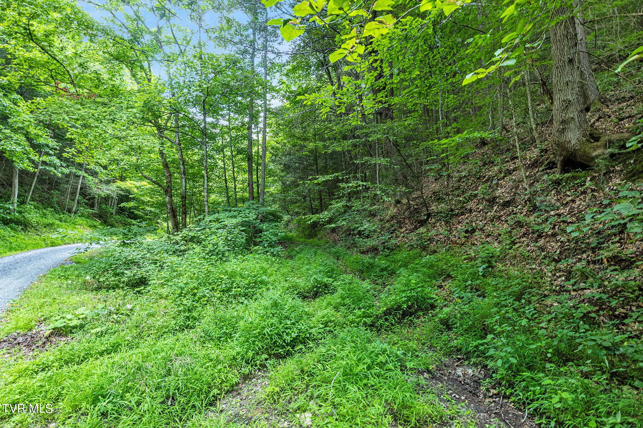 Image 4: 4