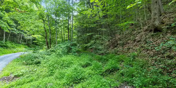 Image 4: 4