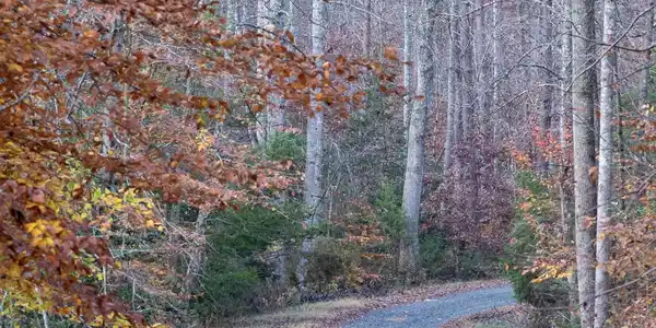Tbd Fire Station Road