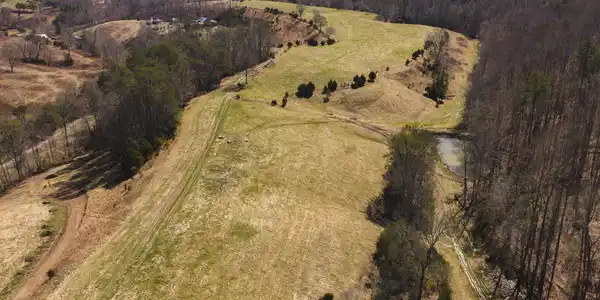 Image 2: DJI_20260227115709_0444_D