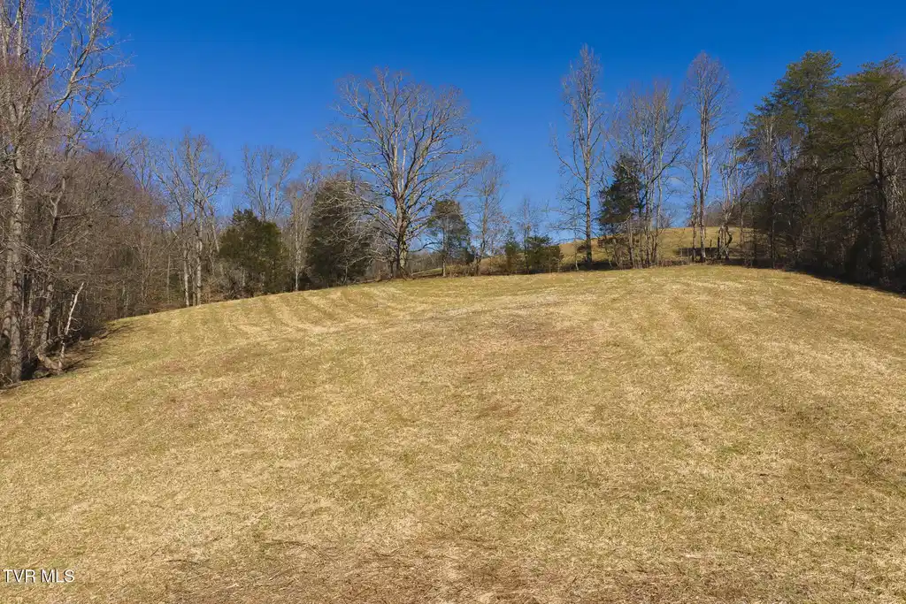 Image 1: DJI_20260227114637_0427_D