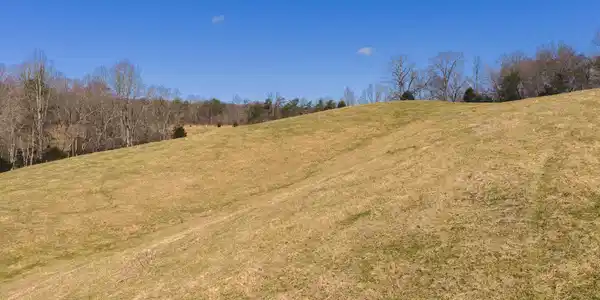 Image 2: DJI_20260227114747_0430_D
