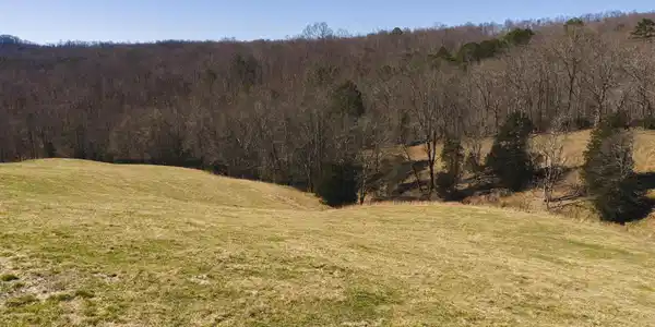 Image 4: DJI_20260227115415_0436_D