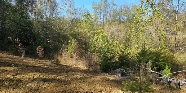 Image 2: Attach0 (9)