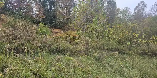Image 3: Attach0 (8)