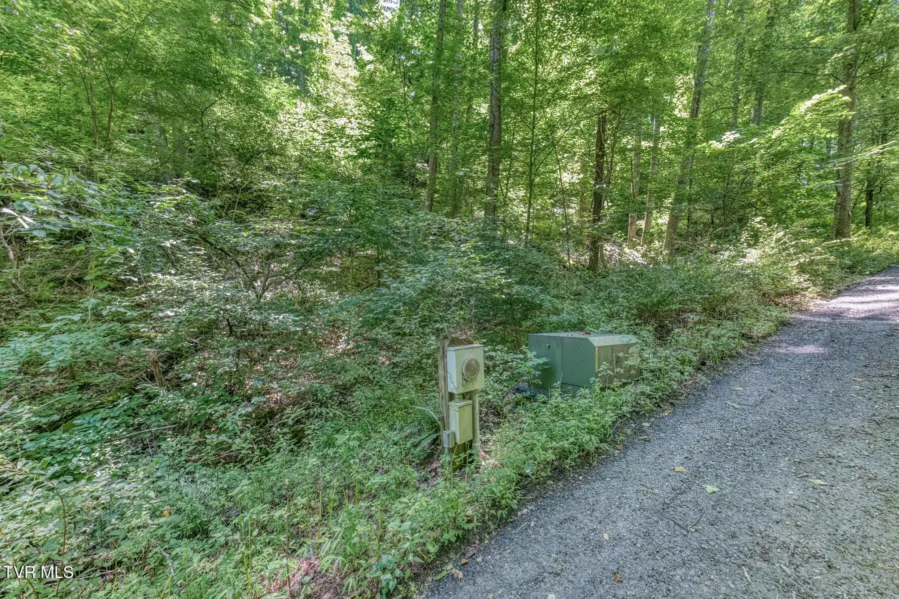 Image 1: TBD Banjo Ridge-1