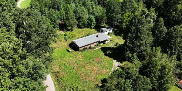 Image 2: Photo 1.2