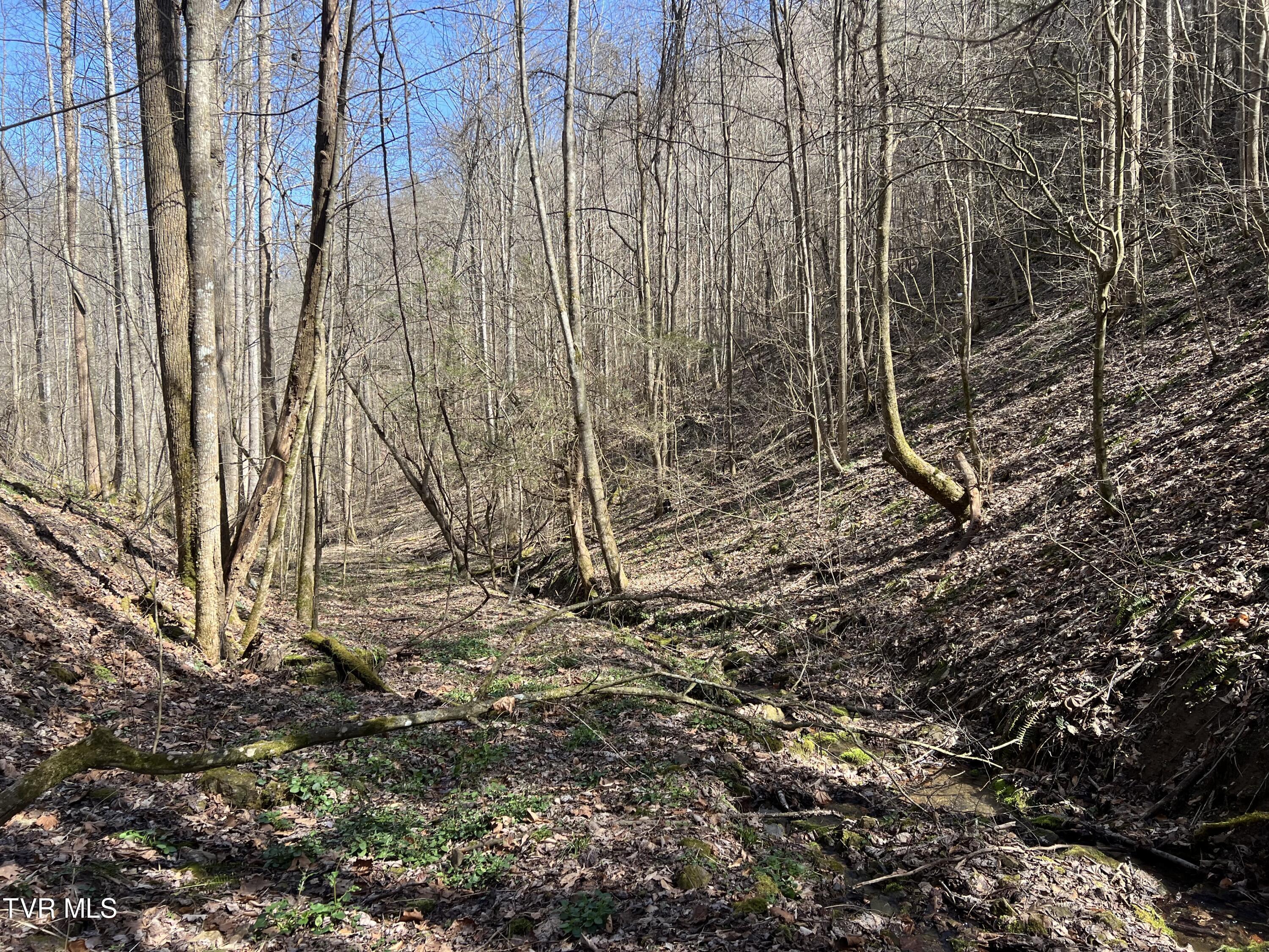 Image 2: IMG_7046