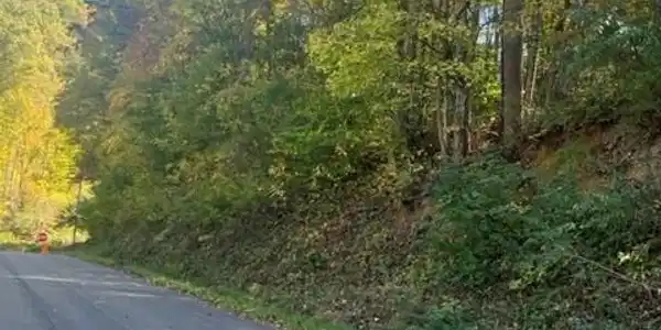 000 Cave Springs Road