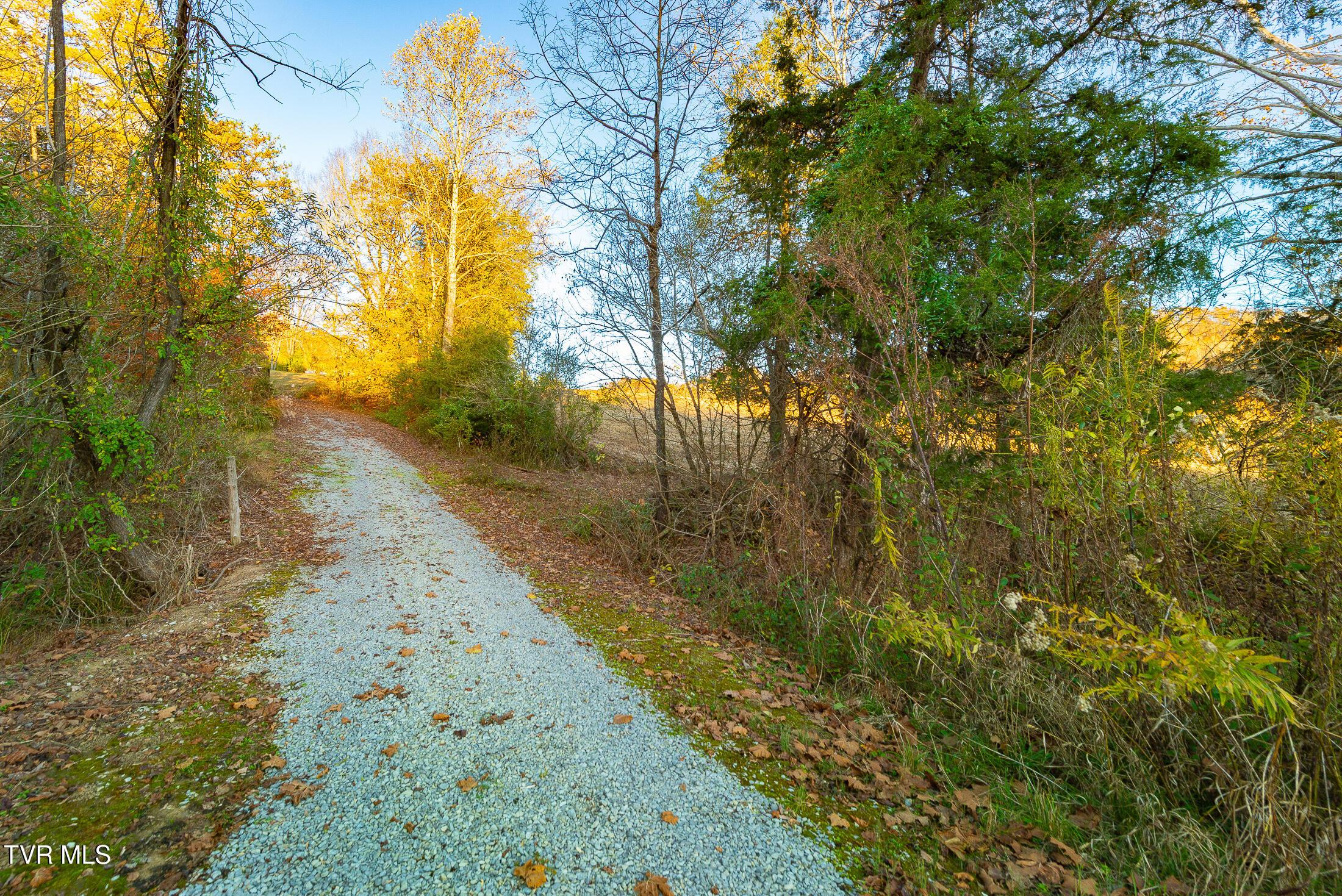 Image 2: acreage