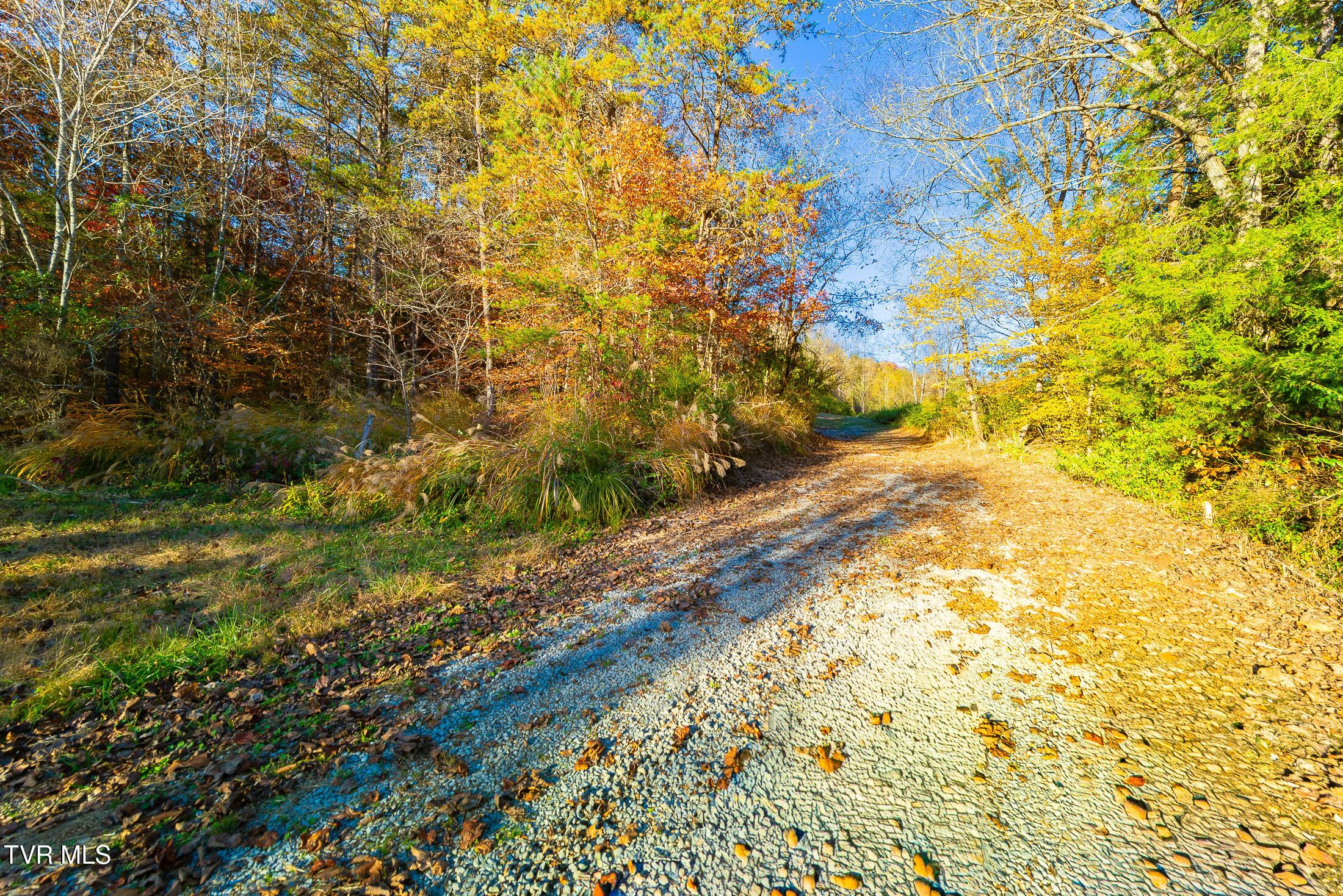 Image 4: acreage