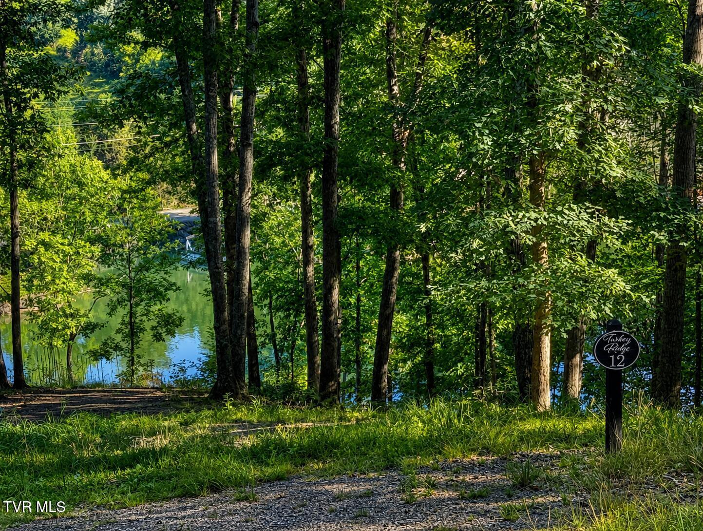 Image 1: five acres on Boone Lake front