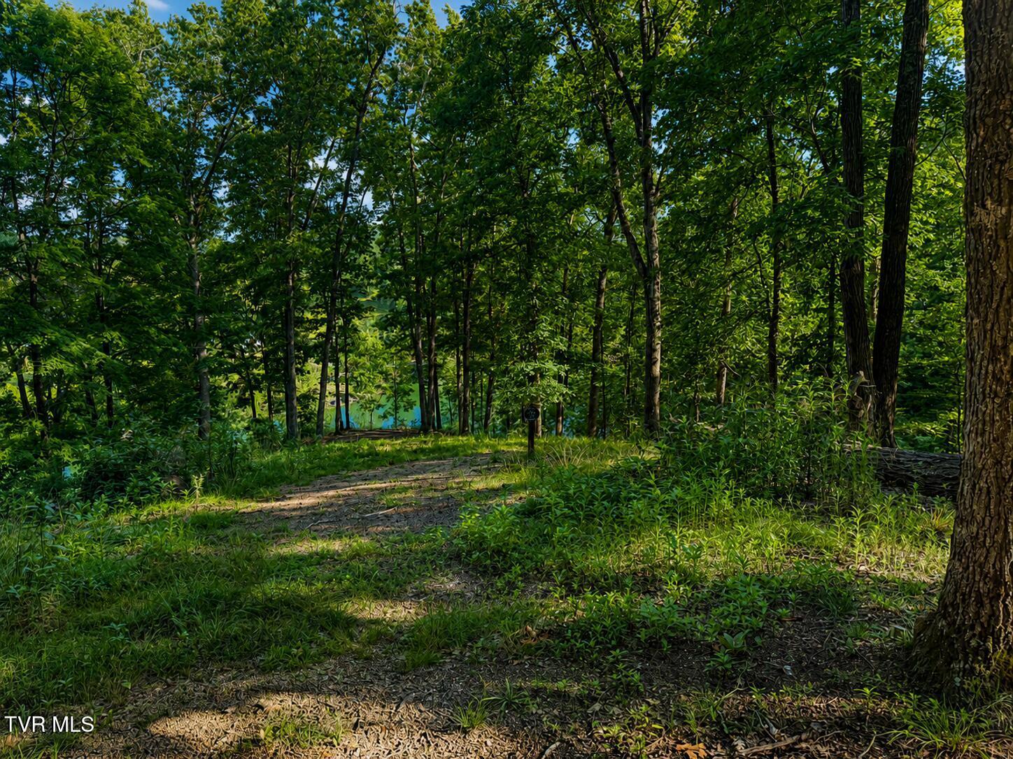 Image 2: lot 12 -5.09 acres lakefront
