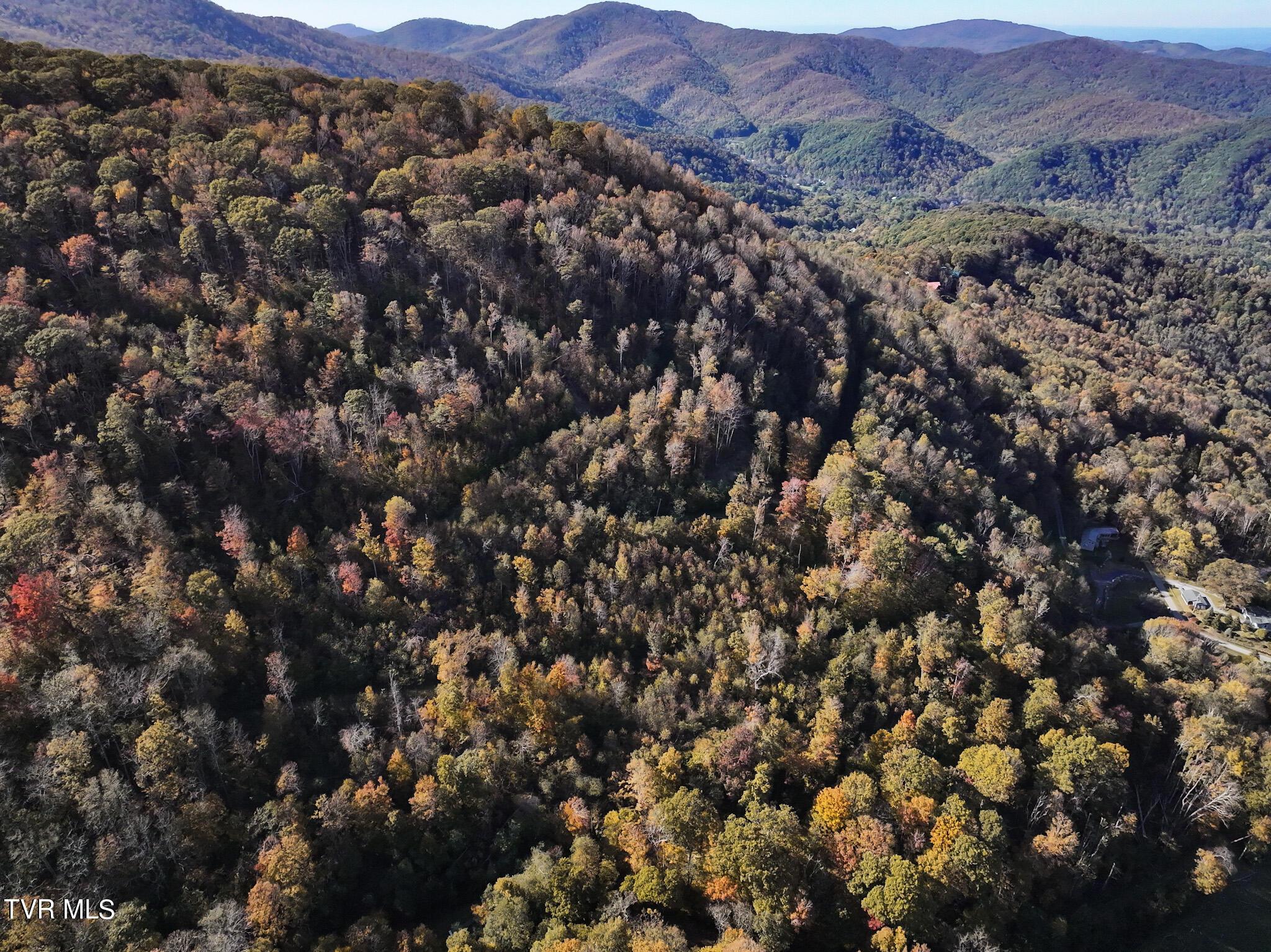 Image 4: DJI_20241008160311_0576_D