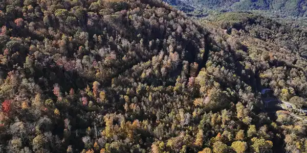 Image 4: DJI_20241008160311_0576_D