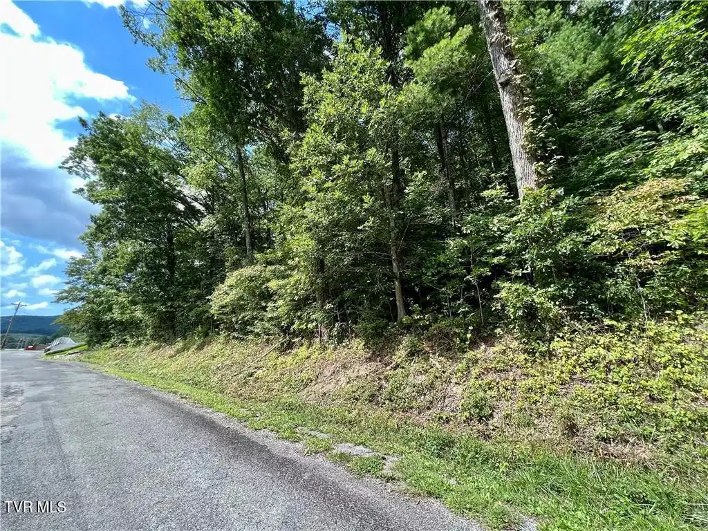 Image 1: tn1