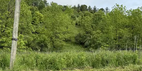Tbd Johnson Hollow Road