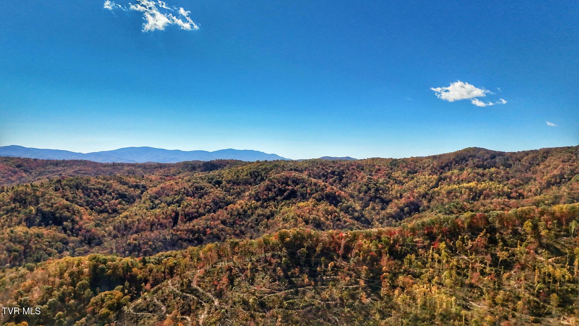 Image 2: Mays Ridge-12