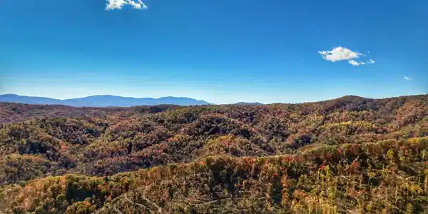 Image 2: Mays Ridge-12