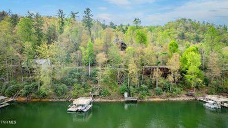 Tbd Cove Ridge Circle