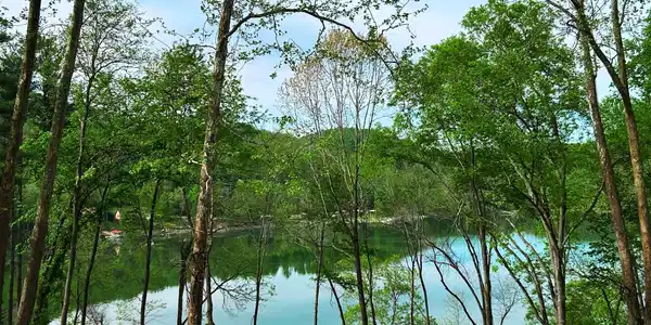 0 Sugar Grove Rd Road