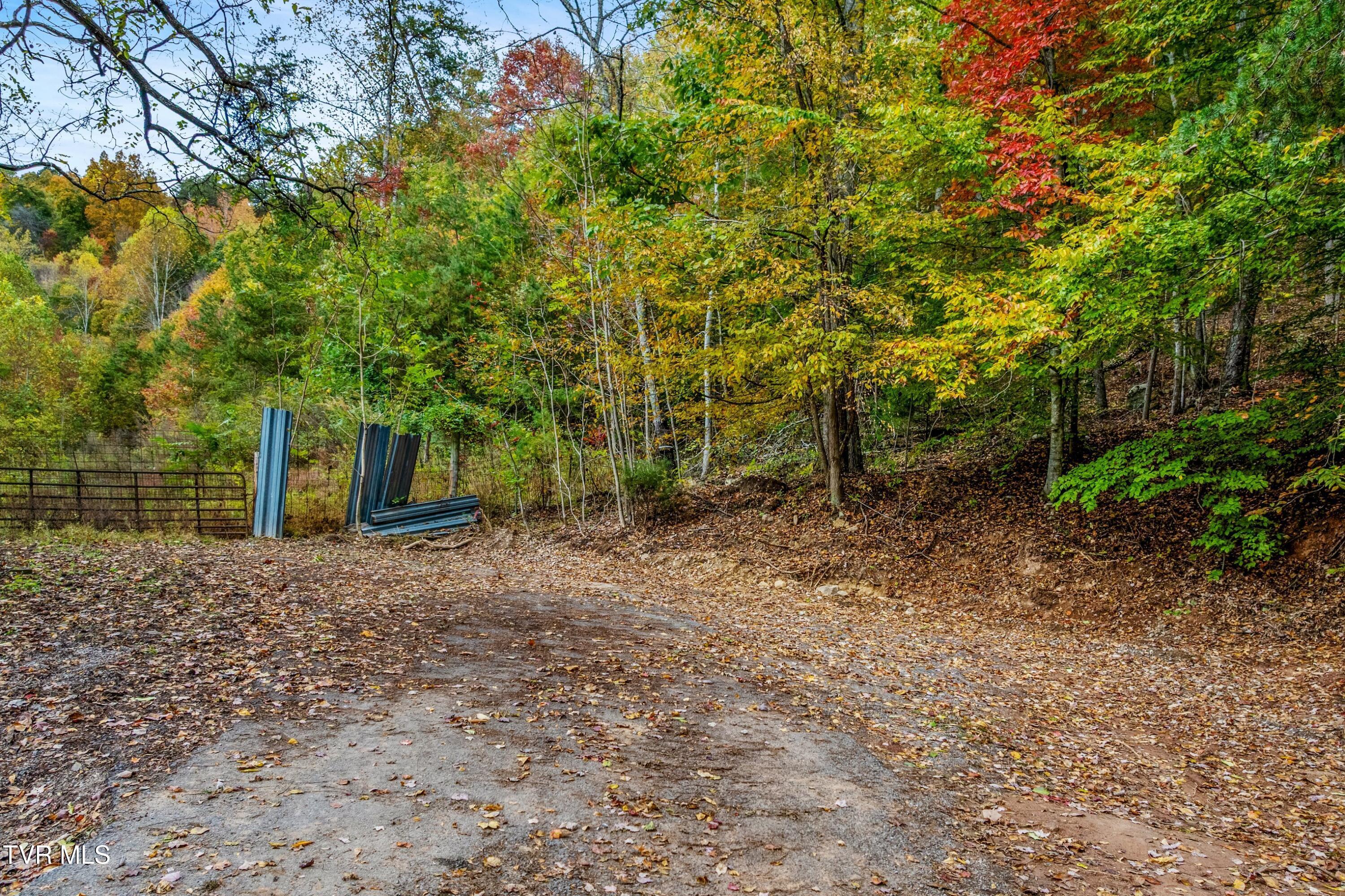 Image 3: 002-CloudCreekRoad-Rogersville-TN-37857-