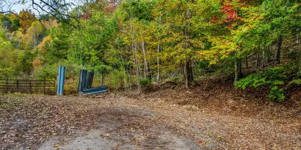 Image 3: 002-CloudCreekRoad-Rogersville-TN-37857-