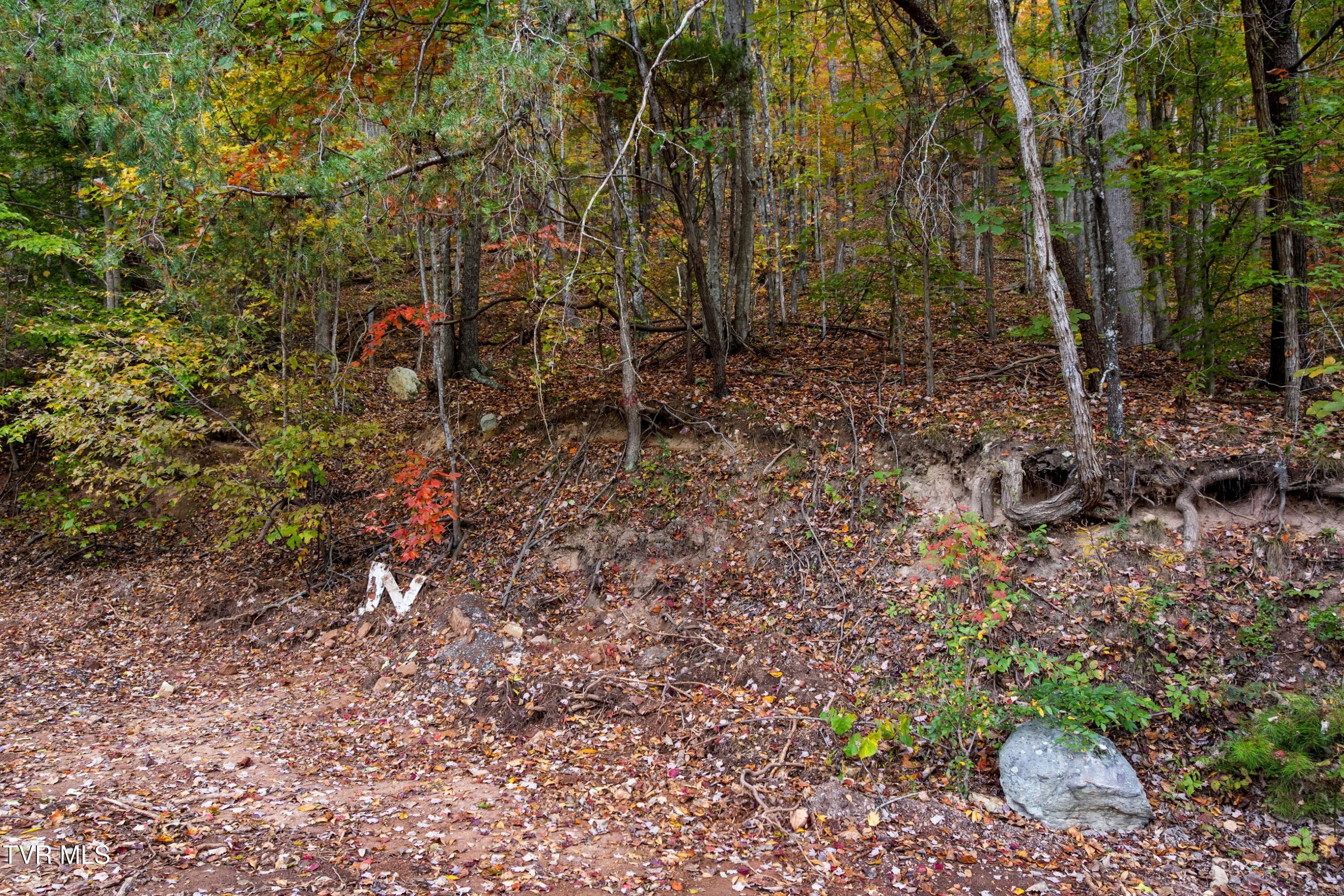 Image 4: 003-CloudCreekRoad-Rogersville-TN-37857-