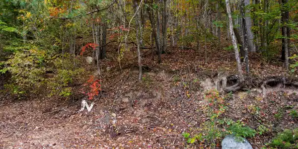 Image 4: 003-CloudCreekRoad-Rogersville-TN-37857-