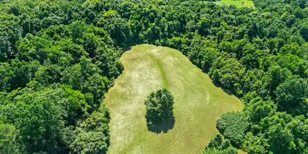Image 3: DJI_0334