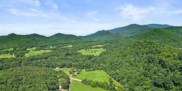Image 4: DJI_0333