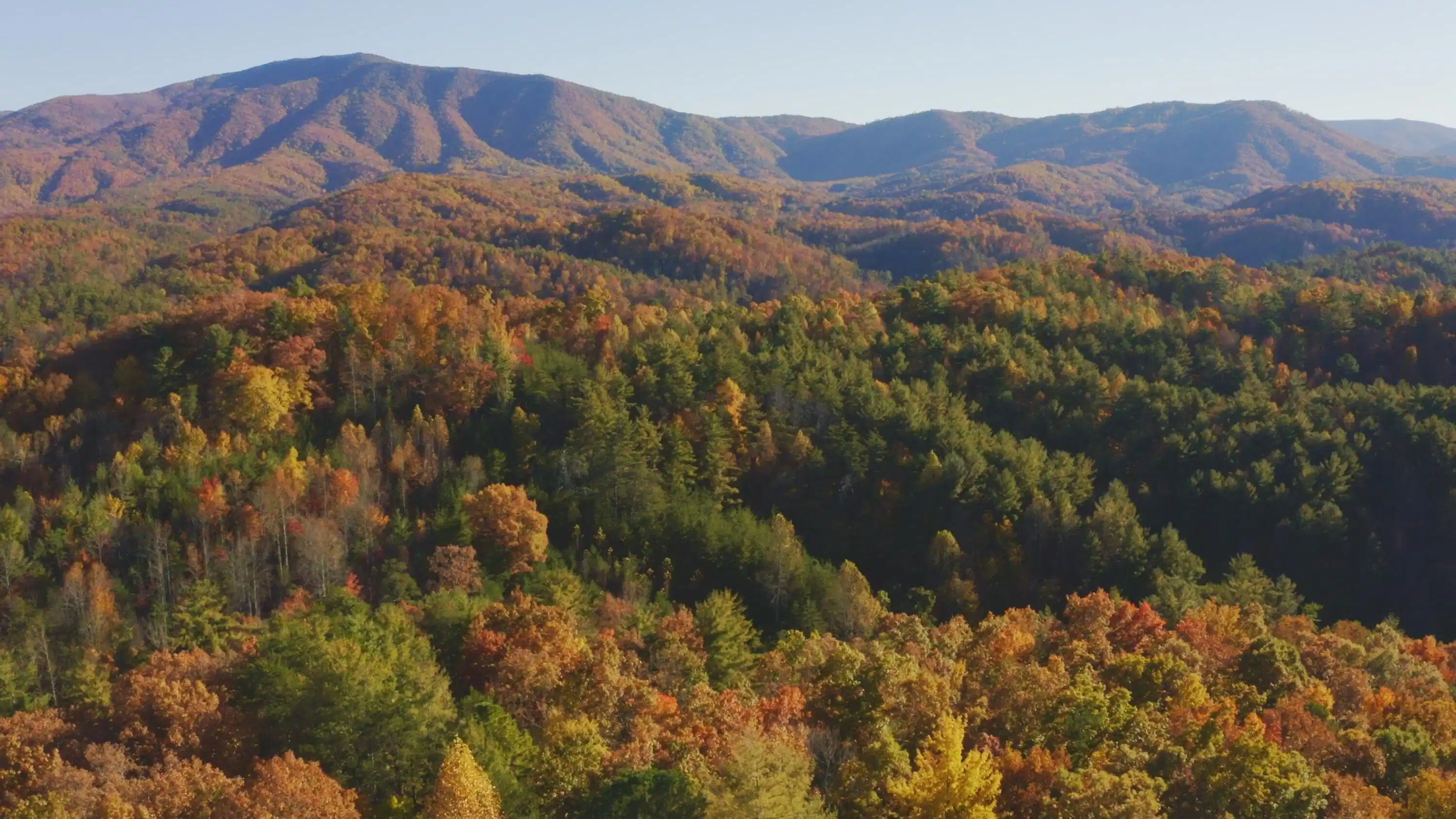 Image 1: Drone Photo