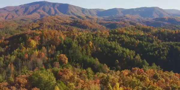410 Seay Hollow Road