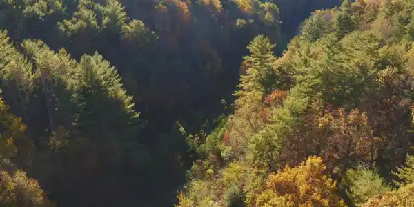 Image 2: Drone Photo