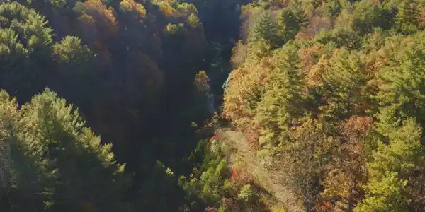 Image 3: Drone Photo