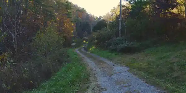 Image 4: Drone Photo