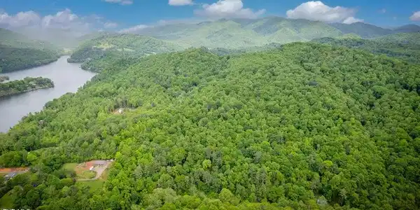 Image 2: lot 9 aerial 2