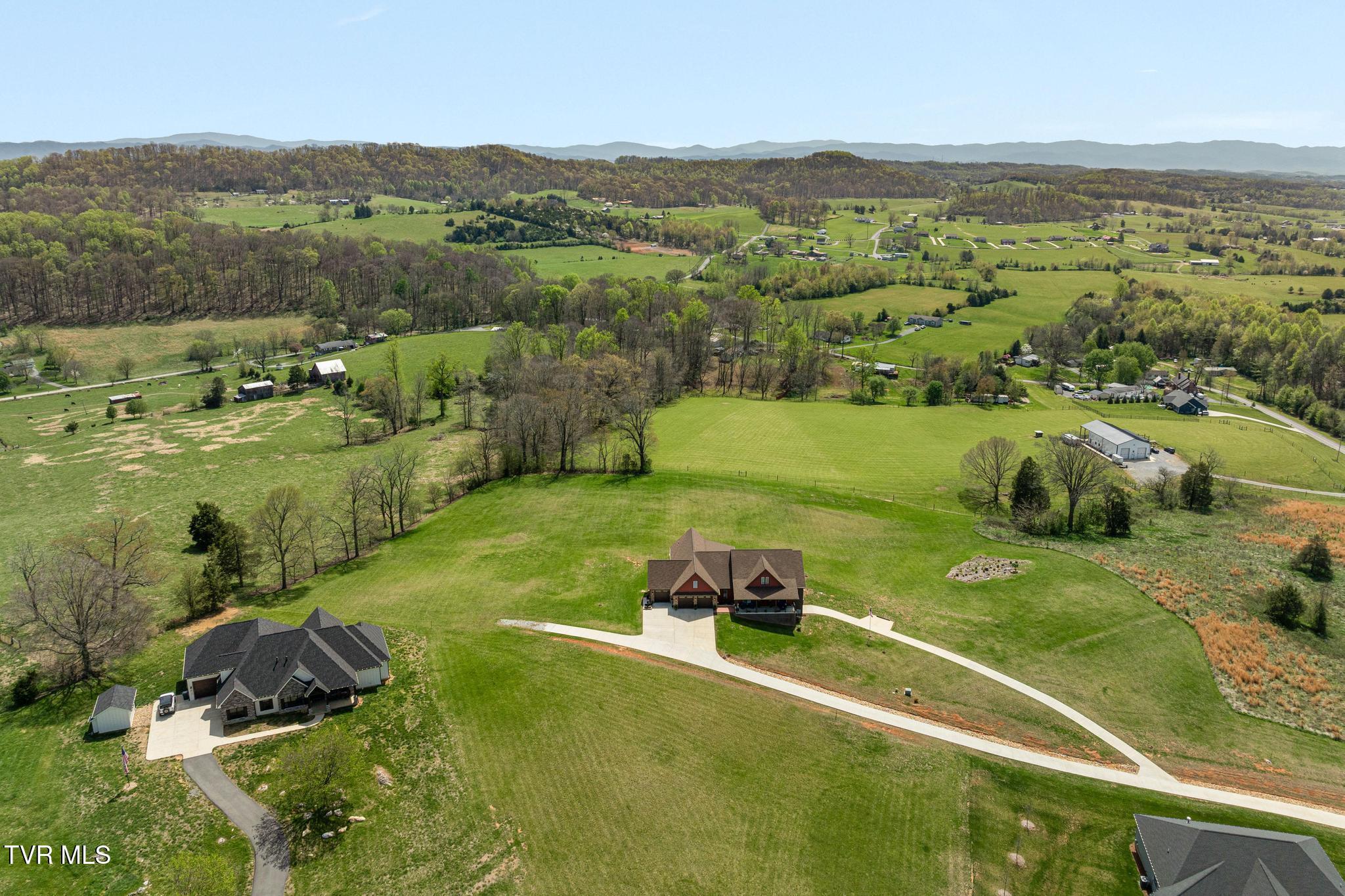 Image 4: Estate Aerial View
