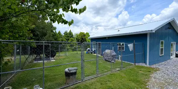 Image 4: 4