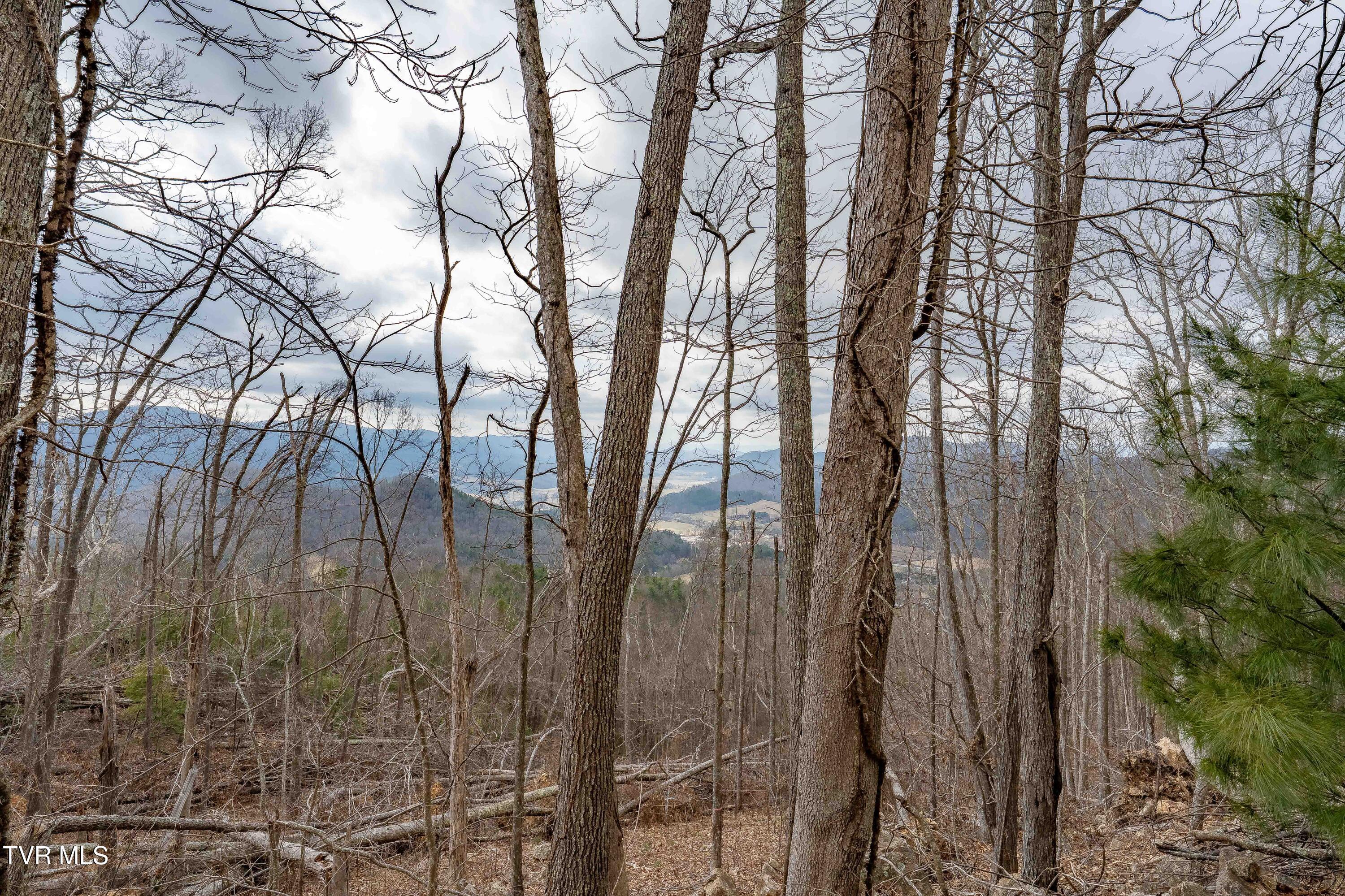 Image 2: TBD IROQUOIS RD (26 of 29)