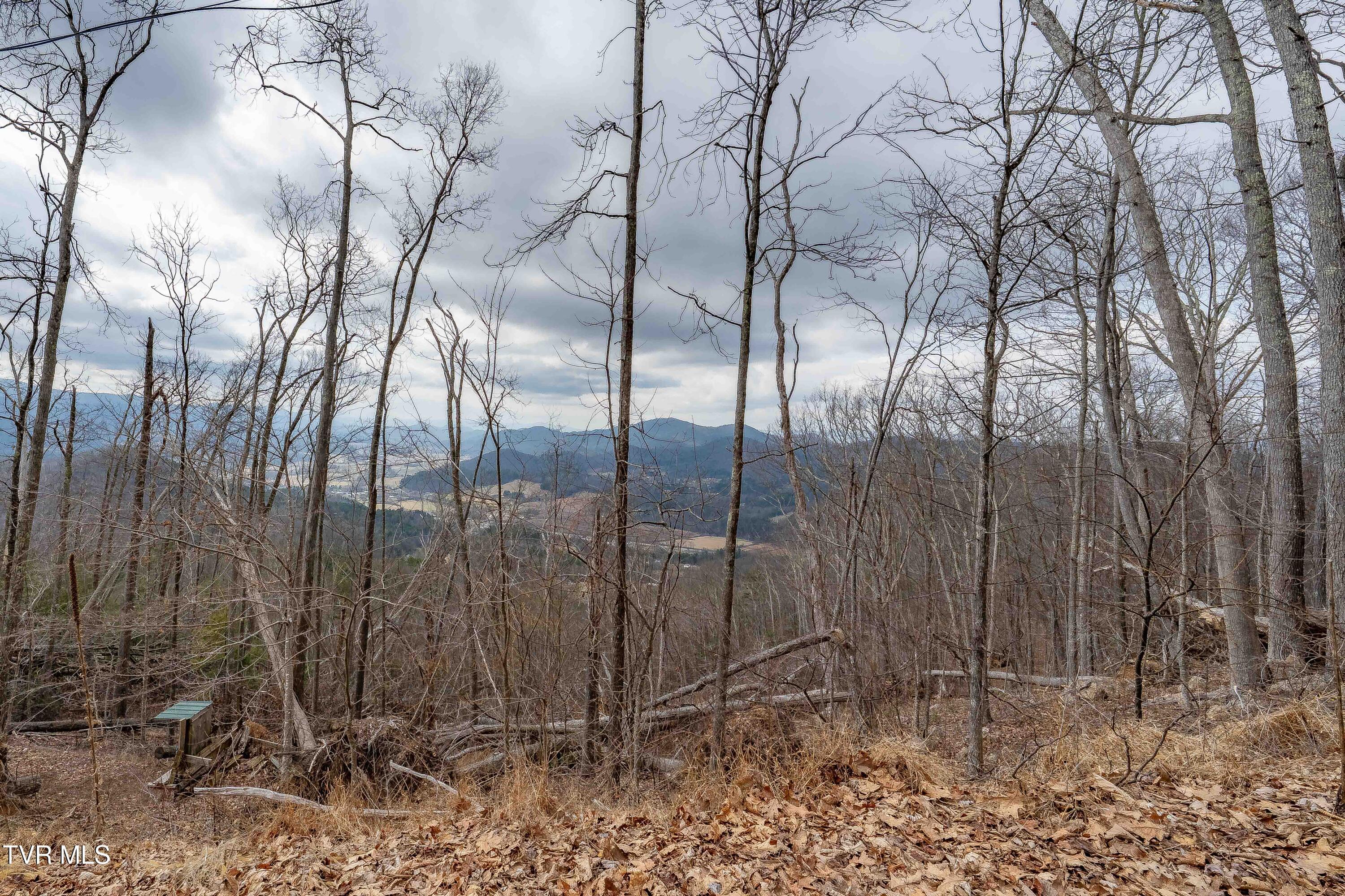 Image 3: TBD IROQUOIS RD (22 of 29)