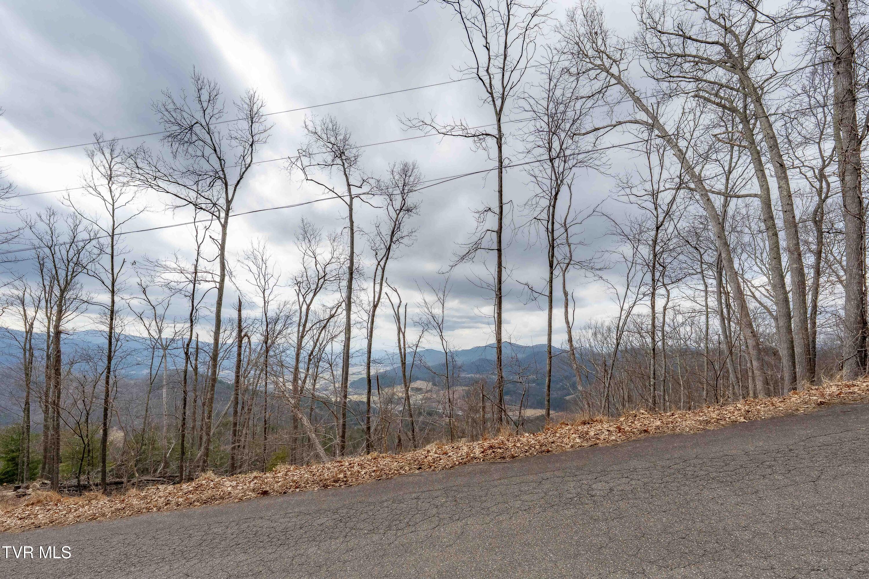 Image 4: TBD IROQUOIS RD (21 of 29)
