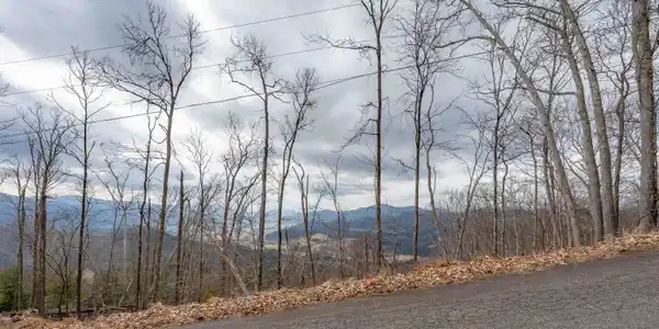 Image 4: TBD IROQUOIS RD (21 of 29)