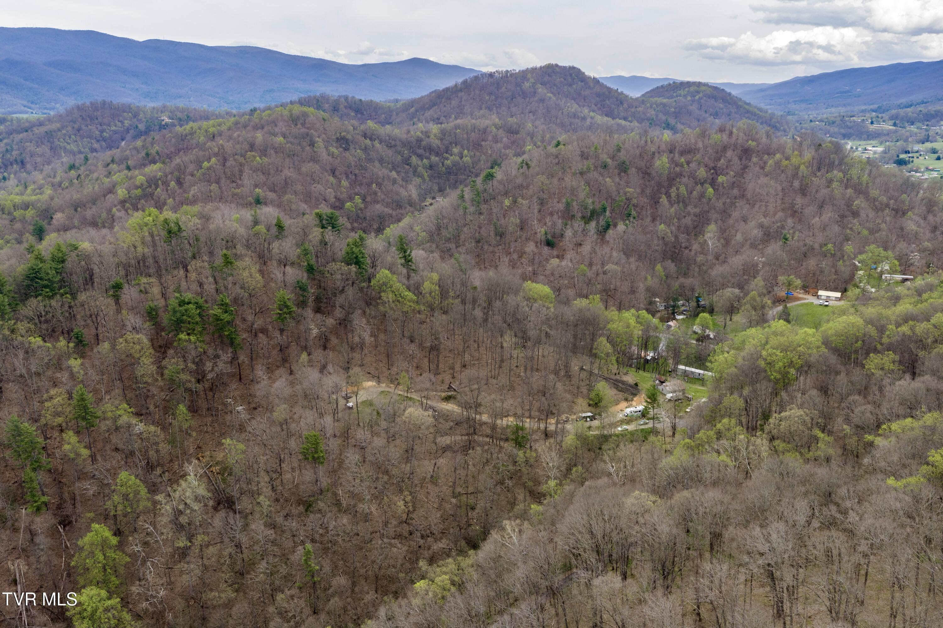 Image 2: Bishop Hollow 1