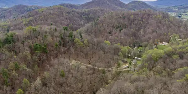 Image 2: Bishop Hollow 1