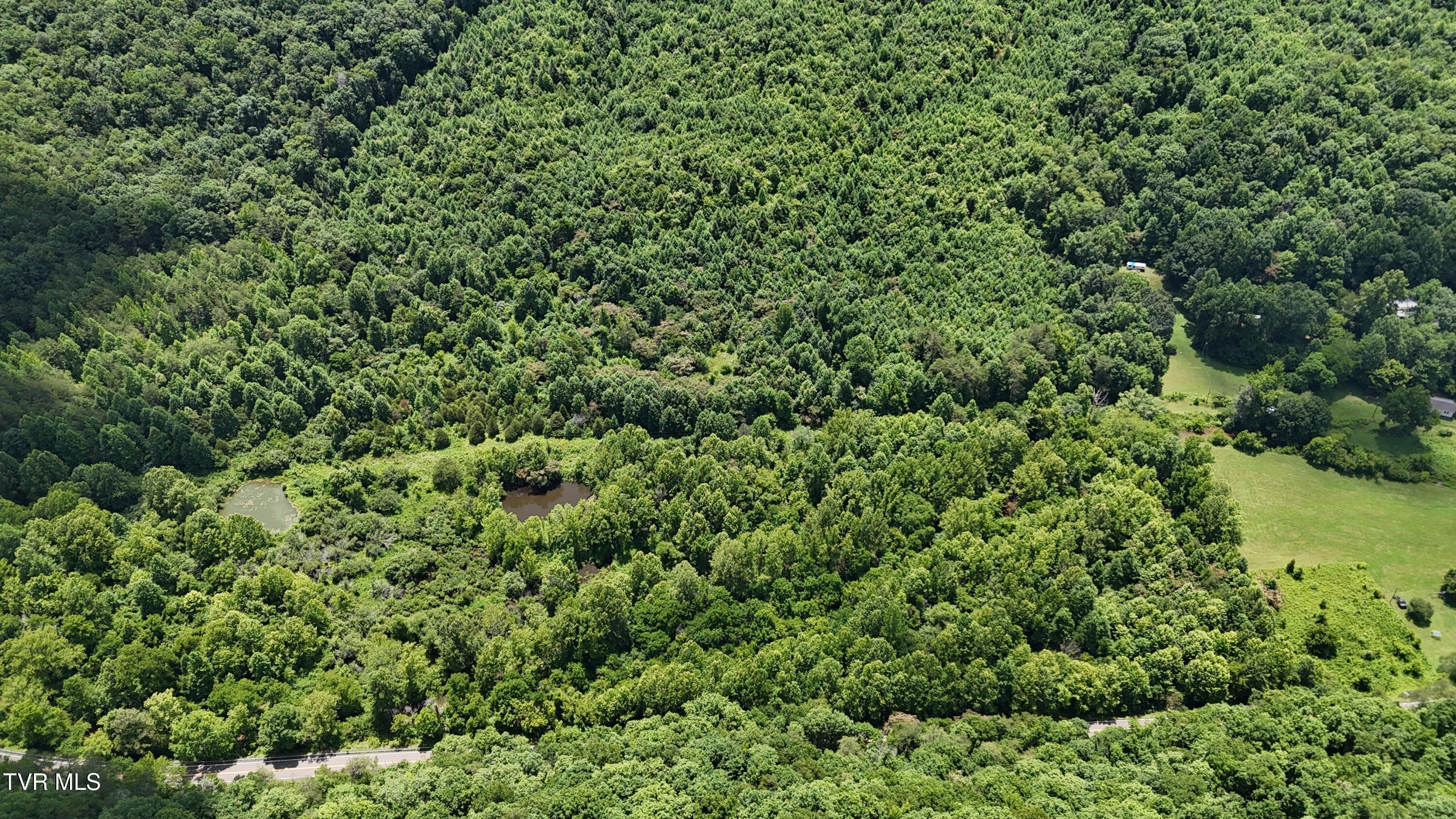 Image 3: image00002