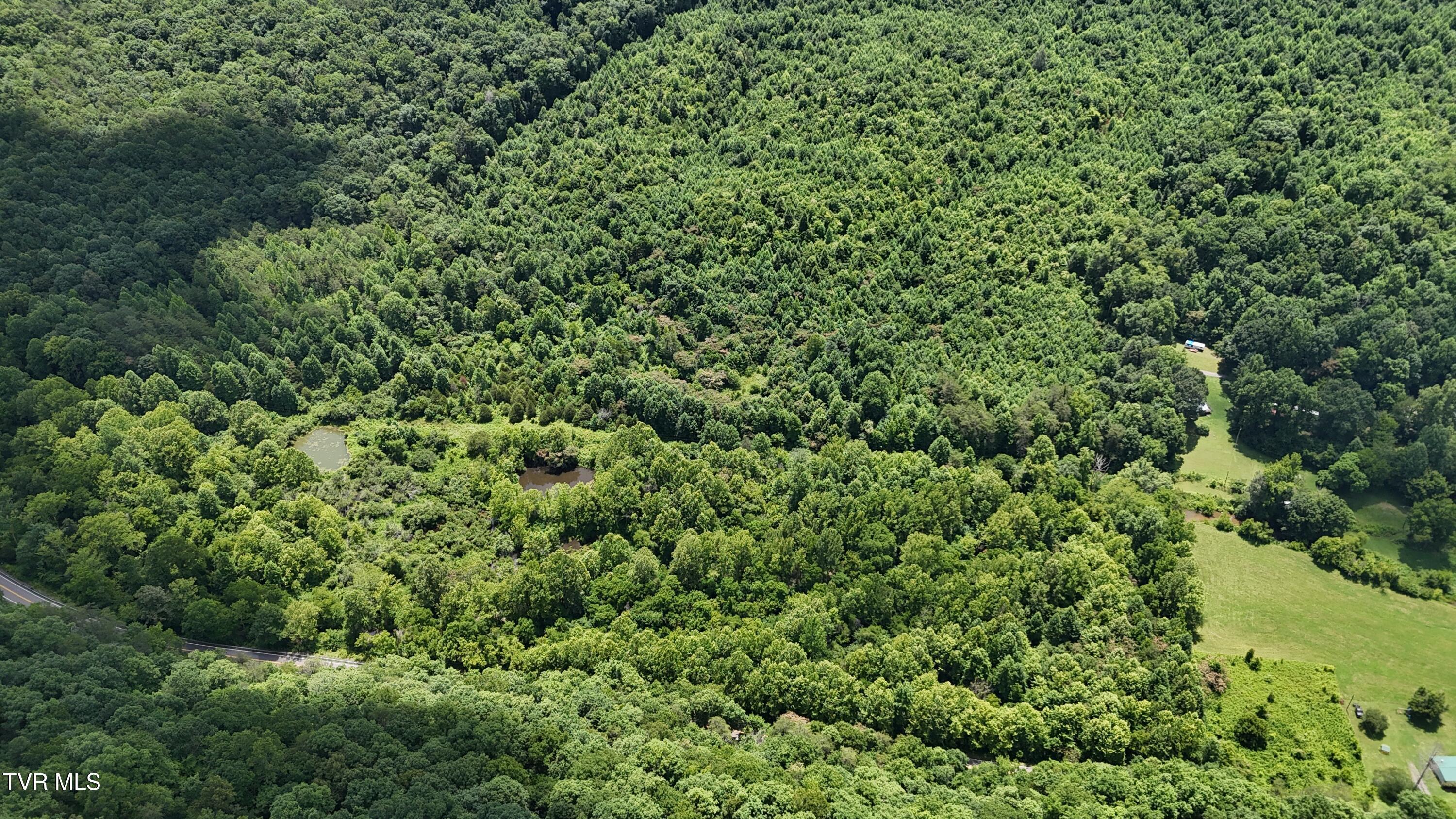 Image 4: image00003