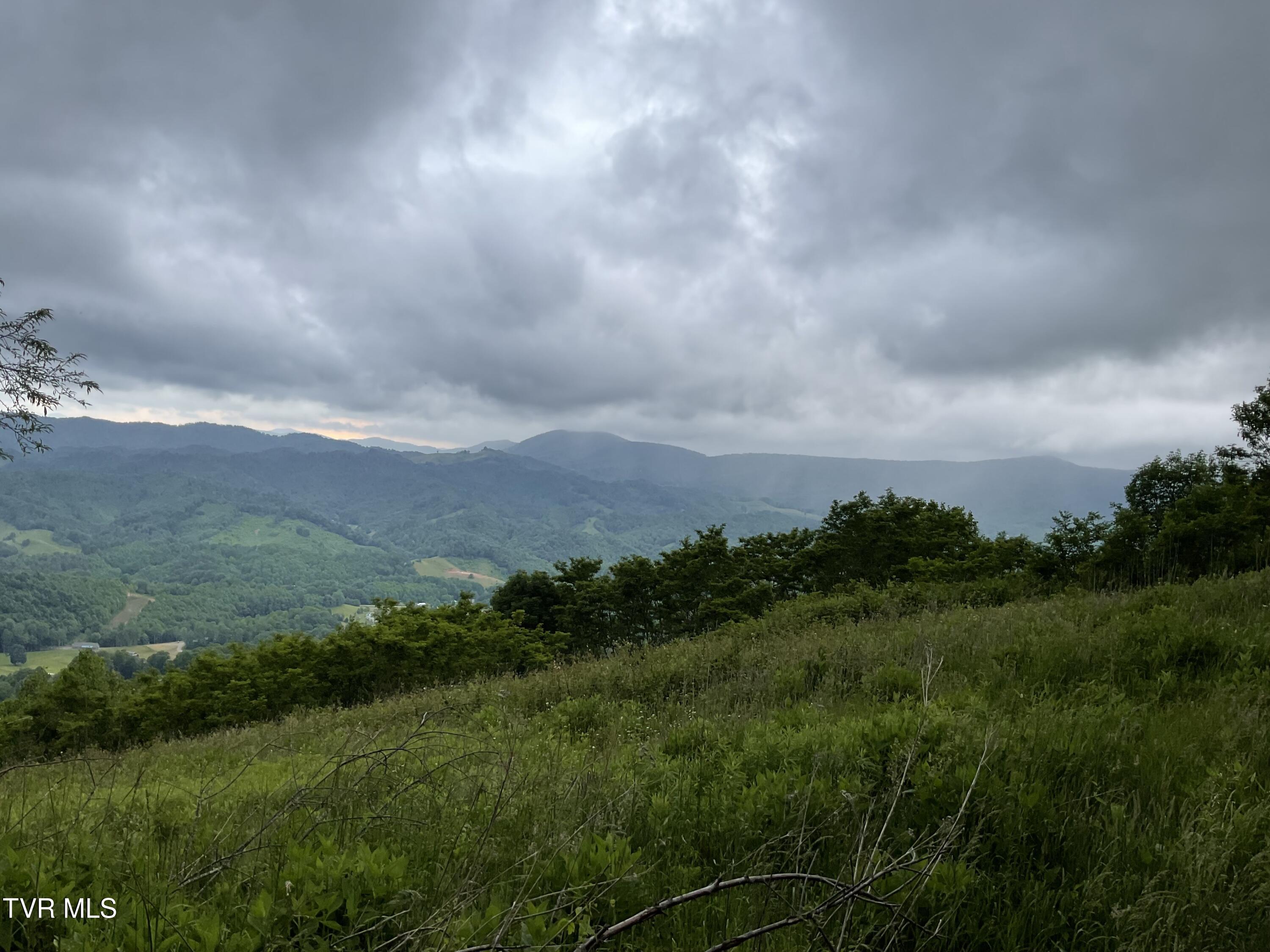 Image 2: Sunalei Pic 7